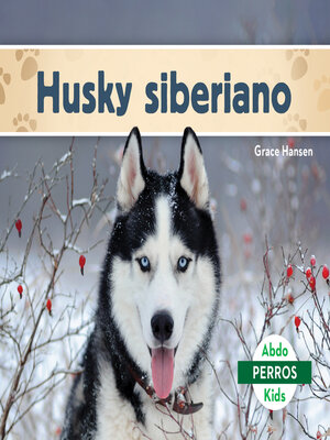 cover image of Husky siberiano